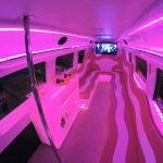 Limobus rosa Madrid